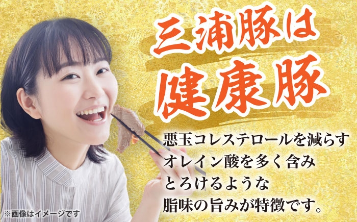 豚肉 三浦豚 ブランド豚 国産 岐阜県産 ポーク ロース しゃぶしゃぶ 薄切り 贈答 ギフト おすすめ 人気 岐阜県 恵那市