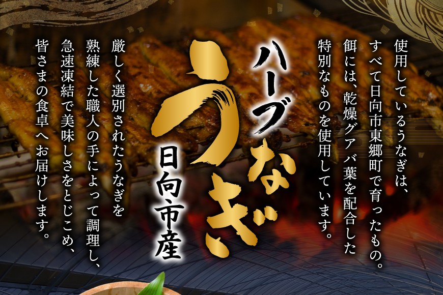 画像はイメージです