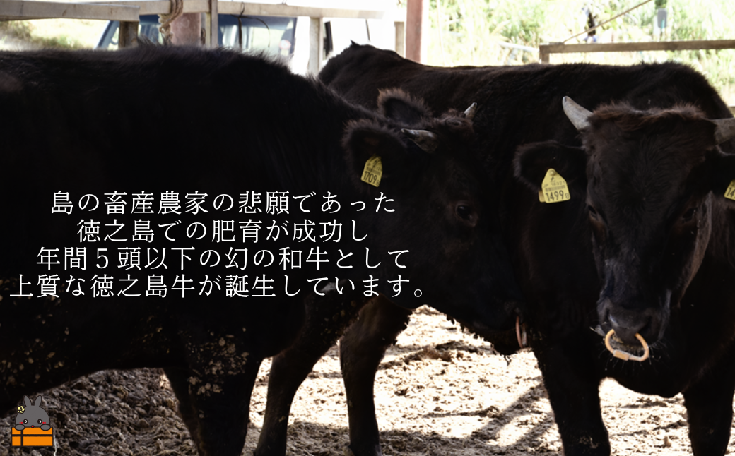 全国の皆様に徳之島牛の美味しさをお届けします。