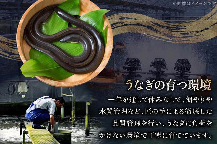 一尾ずつ包装しております。