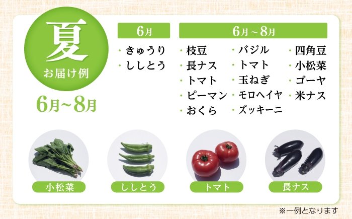 【6回定期便】土佐の太陽をいっぱいに浴びた旬の野菜セット「大」 (6回配送)【土佐野菜】 [ATBA009]
