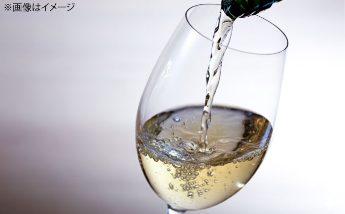 熟成ワイン wine 島根 日本海 海底貯蔵 酒 島根ワイン 海 おさけ わいん