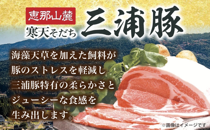 豚肉 三浦豚 ブランド豚 国産 岐阜県産 ポーク ステーキ とんかつ 厚切 贈答 ギフト おすすめ 人気 岐阜県 恵那市