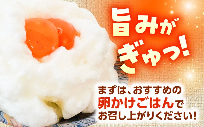 家庭用 たまご タマゴ 玉子 卵 生卵 鶏卵 新鮮 濃厚 採れたて 生みたて 産みたて 卵料理 卵焼き 玉子焼き オムレツ 人気