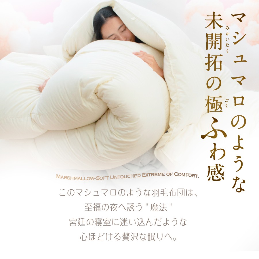 【限界手前シリーズ】超超増量2.7kg 羽毛布団 クイーン 羽毛掛け布団 本掛け