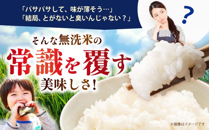 【14年連続特A受賞】さがびより 無洗米 10kg ( 5kg×2袋 ) 【五つ星お米マイスター厳選】[HBL006]