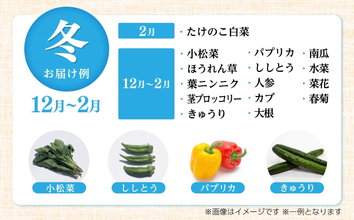 【6回定期便】土佐の太陽をいっぱいに浴びた旬の野菜セット「大」 (6回配送)【土佐野菜】 [ATBA009]