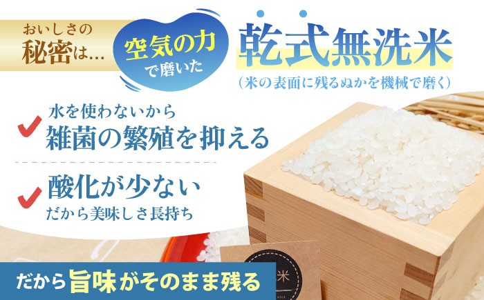 【全12回定期便】さがびより 無洗米 10kg ( 5kg×2袋 ) 【五つ星お米マイスター厳選】 [HBL049] 