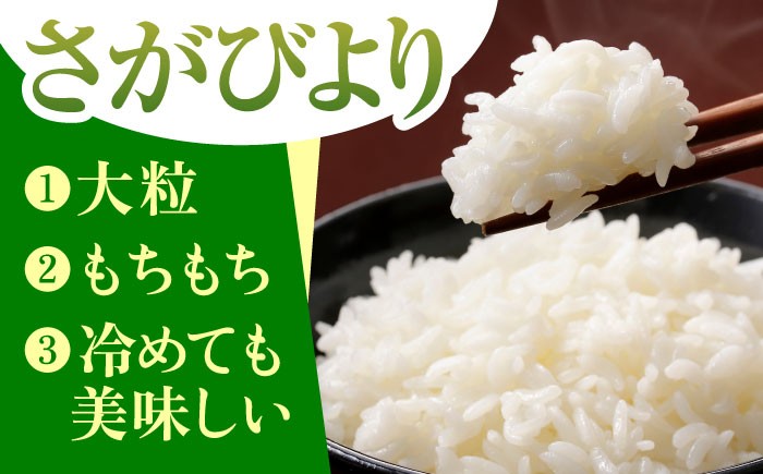 【14年連続特A受賞】さがびより 無洗米 10kg ( 5kg×2袋 ) 【五つ星お米マイスター厳選】[HBL006]