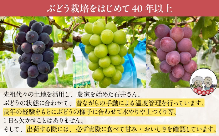 ブドウジュース ジュース ぶどう ブドウ 果実飲料 ストレート ストレートジュース 巨峰 果物 キャンプ アウトドア フローズン