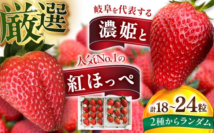 いちご イチゴ 苺 ストロベリー 果物 果実 フルーツ くだもの 岐阜県産 国産