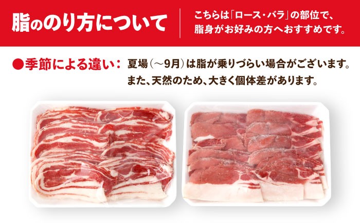 肉 イノシシ ジビエ いのしし 焼肉 ぼたん鍋 切り落とし ジビエ肉 低カロリー BBQ バーベキュー 冷凍