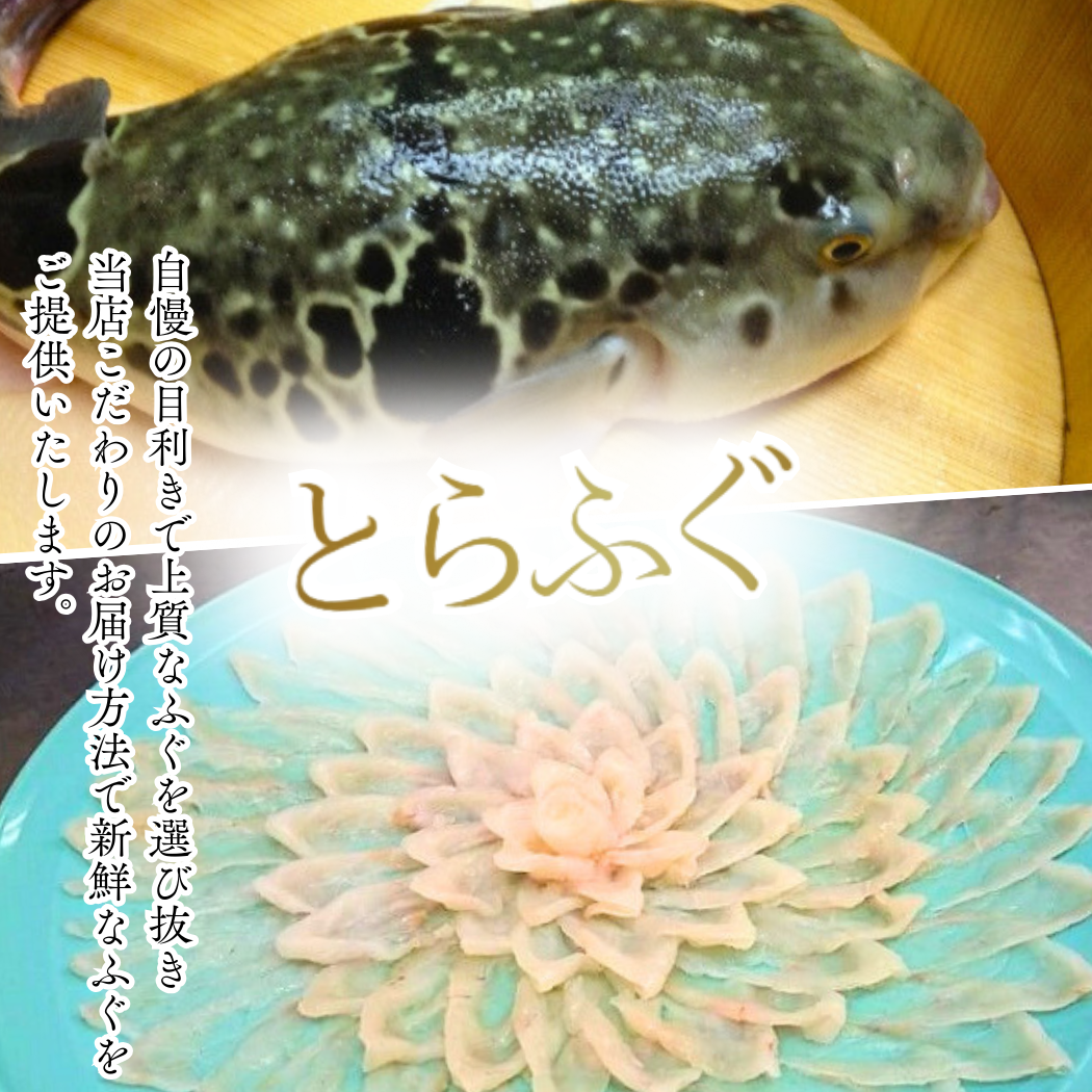 ふぐ 高級 活魚 繁光 国産 とらふぐ 特選 フク刺し 3～4人前 ふぐ フグ 河豚 トラフグ 活とらふぐ とら河豚 トラ河豚