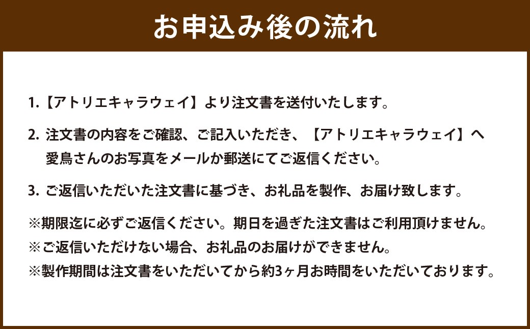 うちの子インコ 羊毛フェルト刺繍