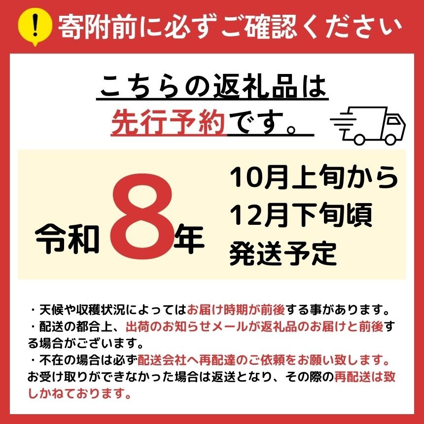 信州産りんご【品種おまかせ】　約3kg (8～12玉)