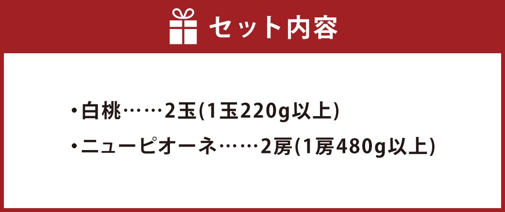 岡山県産 詰合せ/白桃2玉とニューピオーネ2房 化粧箱入り