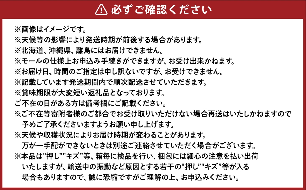 岡山白桃 ロイヤル 5～10玉 計約2kg