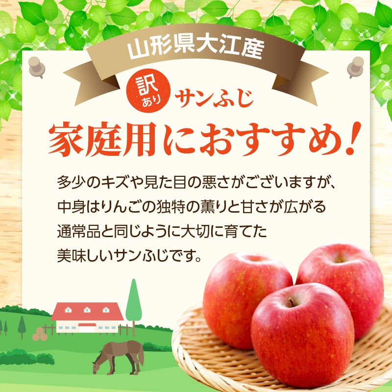 《先行受付》特別栽培 訳あり 家庭用サンふじ約10kg 【2026年12月中旬～順次発送予定】