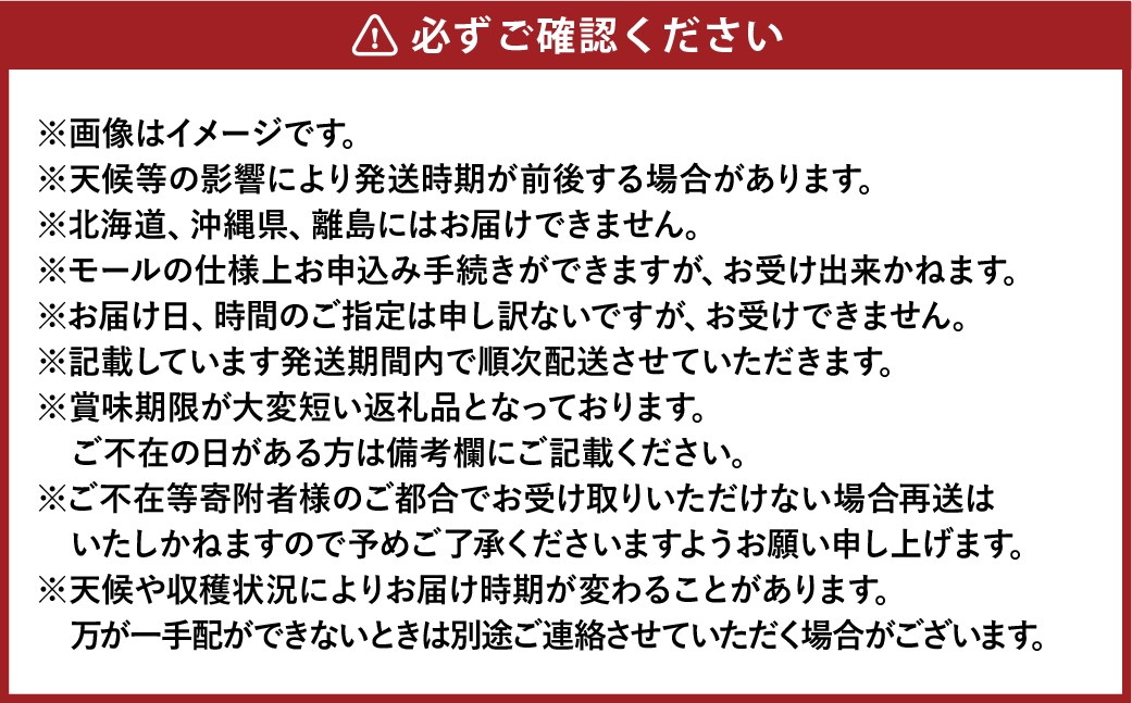 シャインマスカット晴王 約500g×2房
