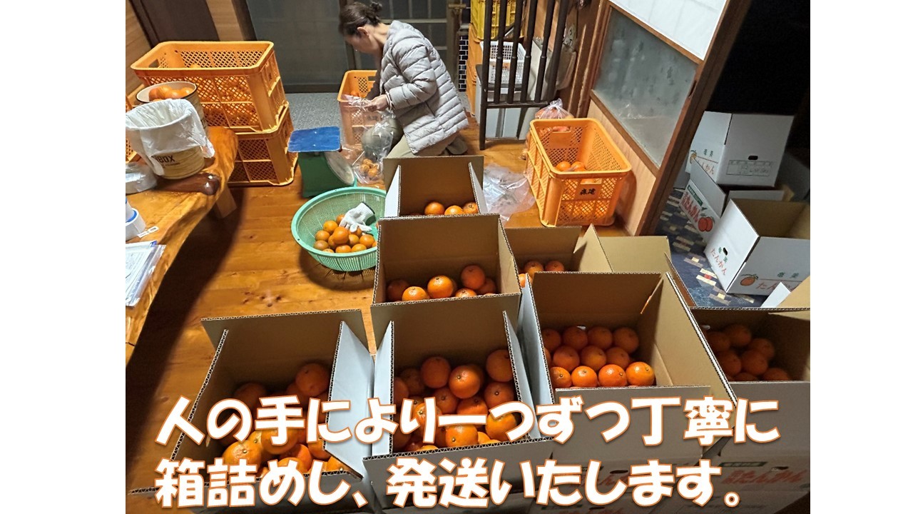 人のてにより一つずつ丁寧に箱詰めし、発送いたします。