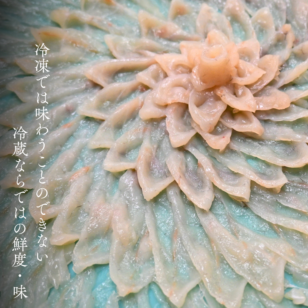 ふぐ 高級 活魚 繁光 国産 とらふぐ 特選 フク刺し 2～3人前 ふぐ フグ 河豚 トラフグ 活とらふぐ とら河豚 トラ河豚