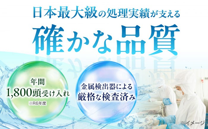 肉 イノシシ ジビエ いのしし 焼肉 ぼたん鍋 切り落とし ジビエ肉 低カロリー BBQ バーベキュー 冷凍
