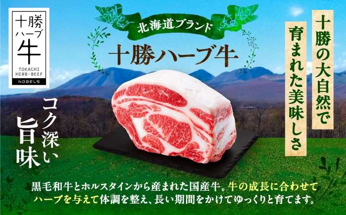 牛肉 牛 肉 にく ニク リブ ロース ステーキ ステーキ肉 ブロック肉 国産 