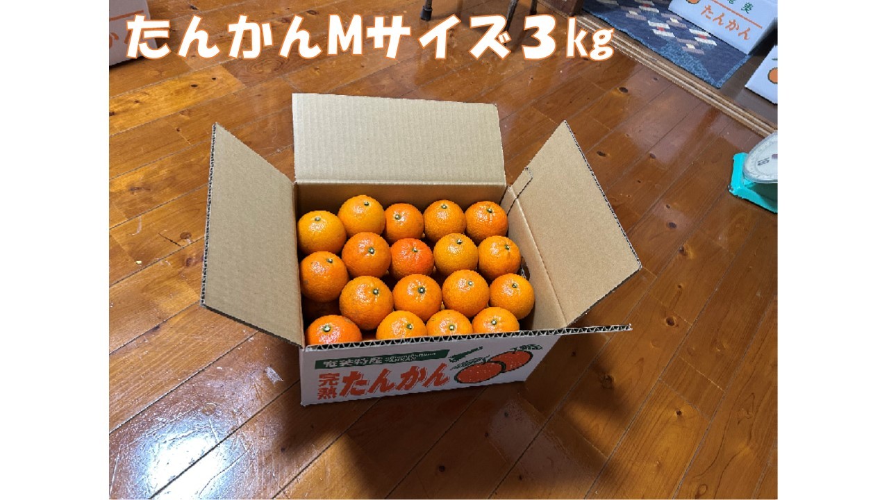 たんかん　Mサイズ　３㎏