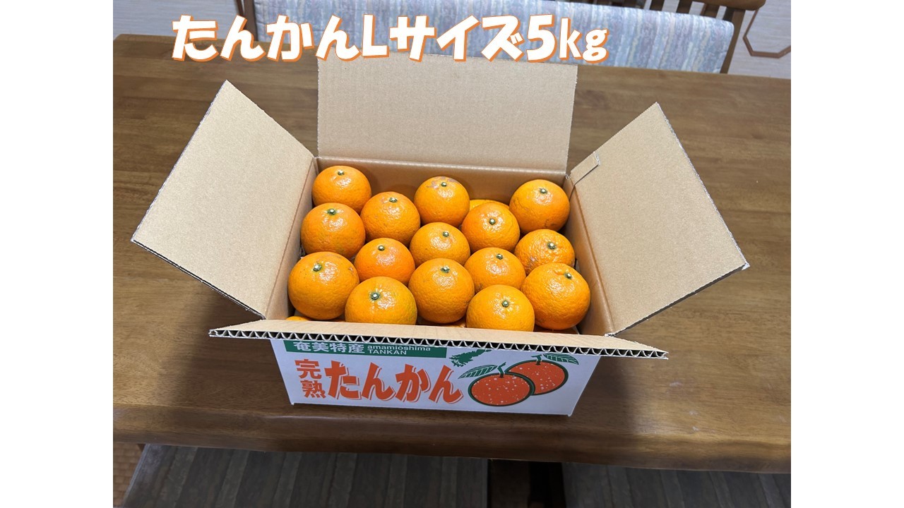 たんかん　Lサイズ　５㎏