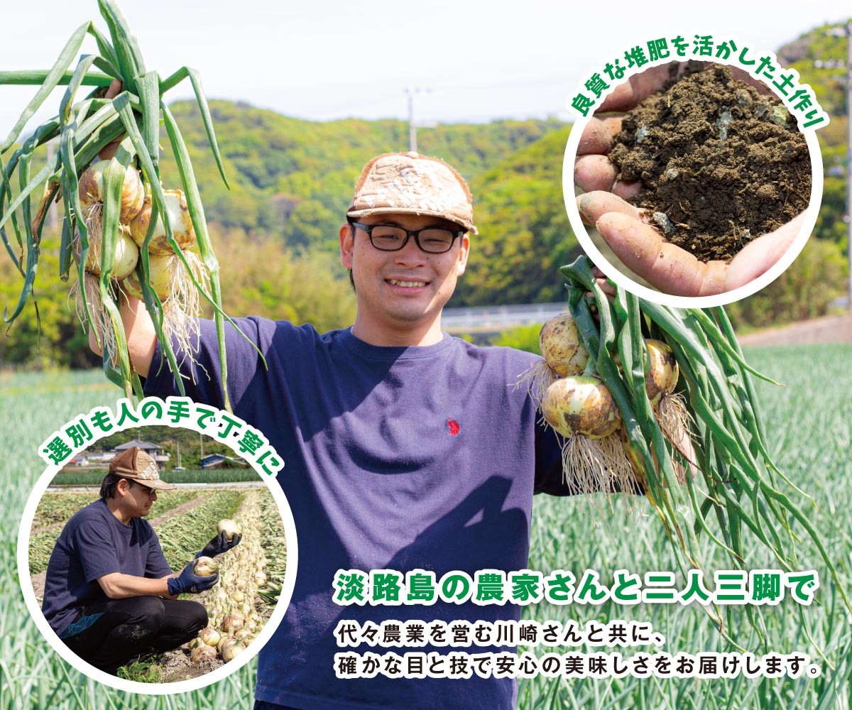 海月館 自社農場栽培！淡路島産 新玉ねぎ 3kg