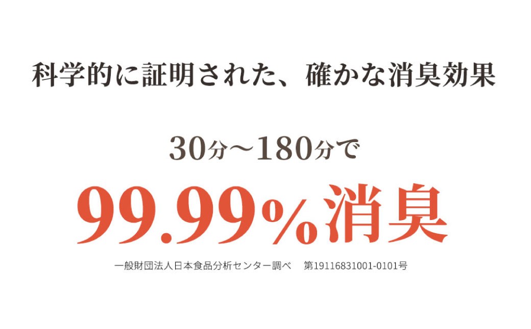 竹炭消臭剤 大きなお部屋＋シューズ（靴箱消臭用）セット