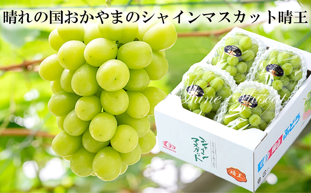 ご家庭用シャインマスカット晴王 約400g×2房