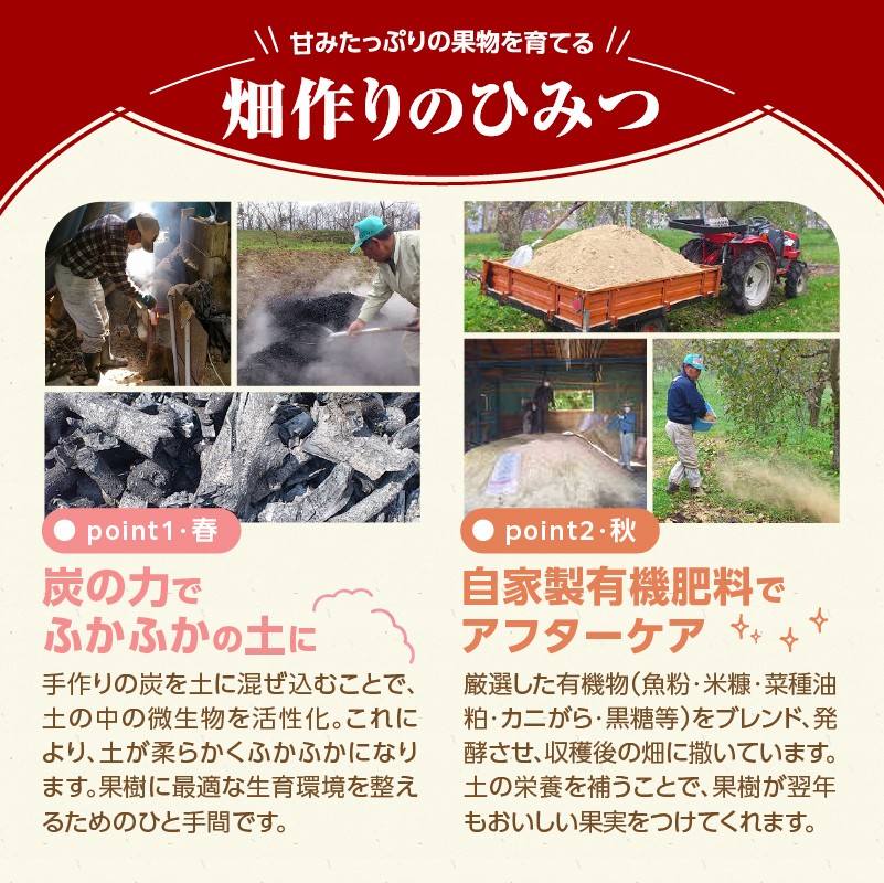 ≪先行受付≫特別栽培 大玉 ラフランス 約3kg 秀品4L～3L 【2027年1月より順次発送予定】