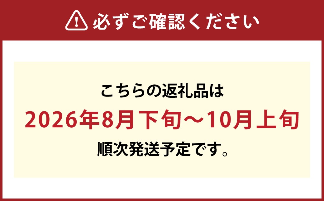 岡山県産 ニューピオーネ  4房