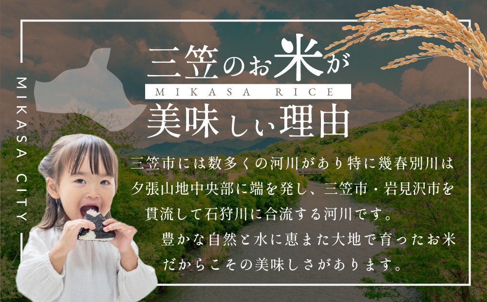 令和7年産【定期便(10kg×4カ月)】北海道産ななつぼし 五つ星お米マイスター監修＜3月より発送開始＞