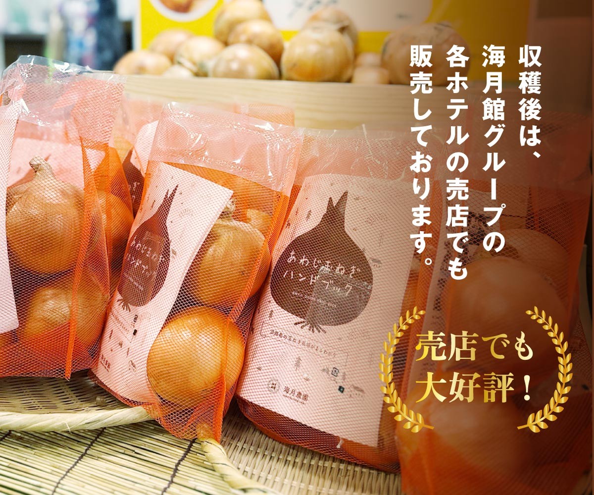 海月館 自社農場栽培！淡路島産 新玉ねぎ 3kg