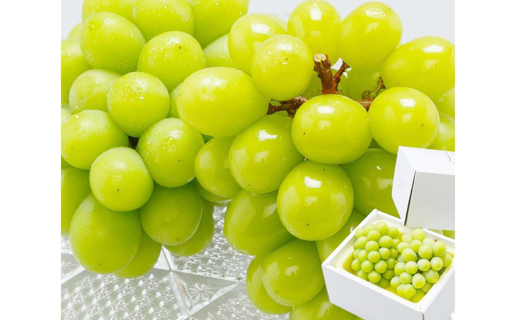 岡山県産 シャインマスカット晴王3回定期便