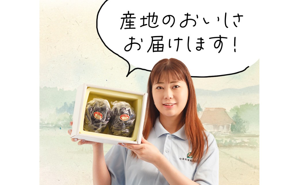 岡山県産 ニューピオーネ  4房