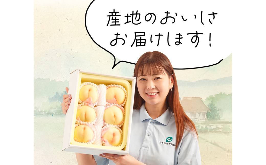 岡山県産　白桃6玉（1.6kg以上）