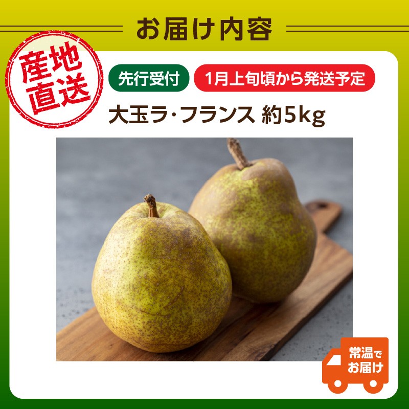 ≪先行受付≫ 特別栽培 大玉 ラフランス 約5kg 秀品4L～3L 【2027年1月より順次発送予定】