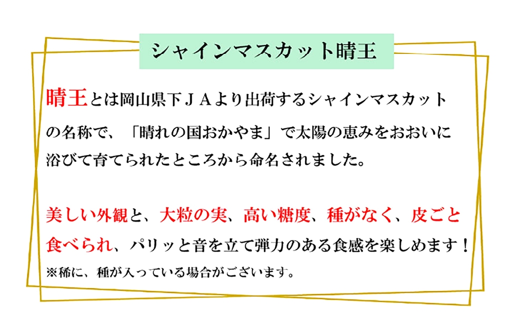ご家庭用シャインマスカット晴王3～6房 計約1.5kg