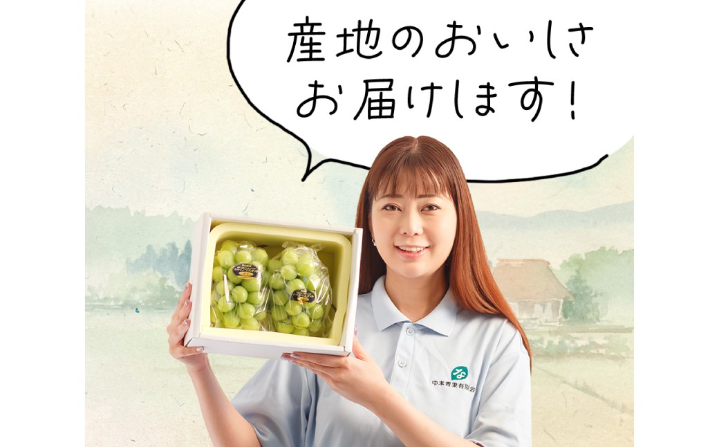 岡山県産 シャインマスカット晴王3回定期便