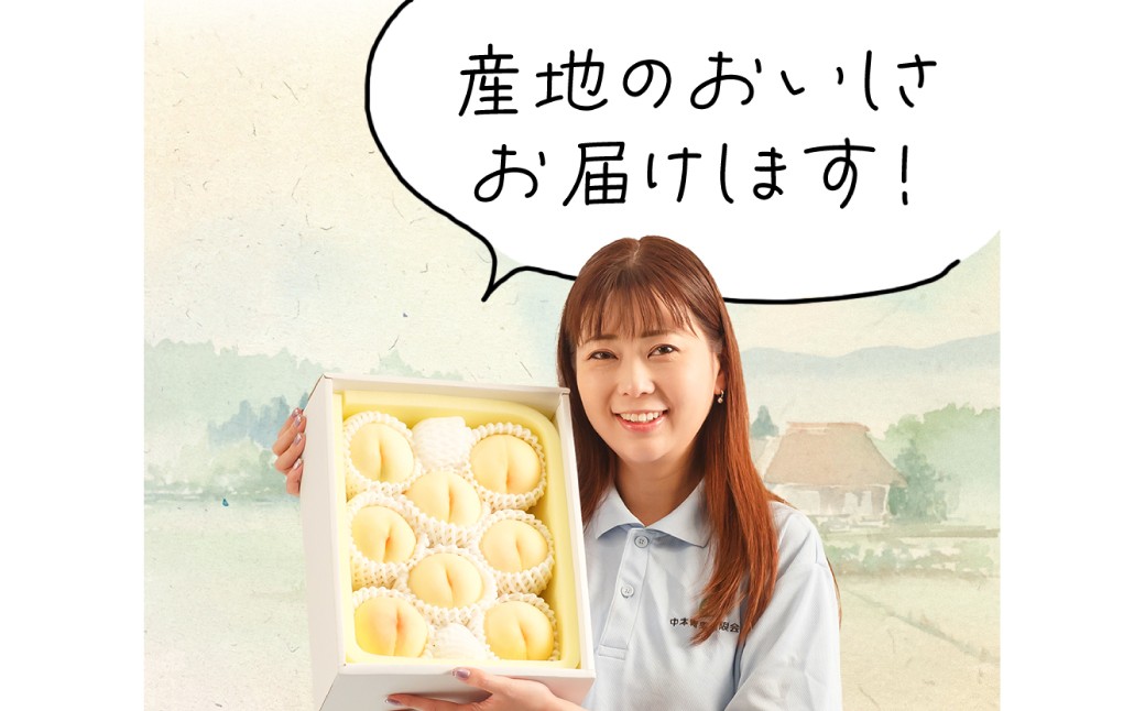 【先行予約】岡山県産　白桃8玉（1.7kg以上）化粧箱入り