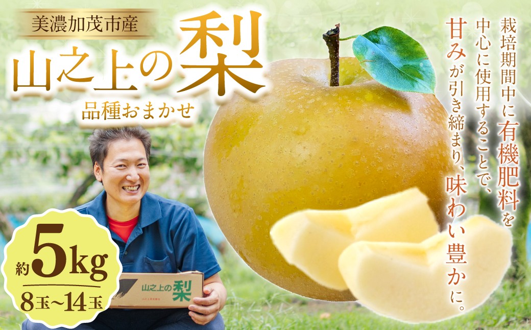 《先行予約》山之上の梨(品種はおまかせ) 約5kg(8～14玉)【2026年8月下旬-10月上旬 発送予定】