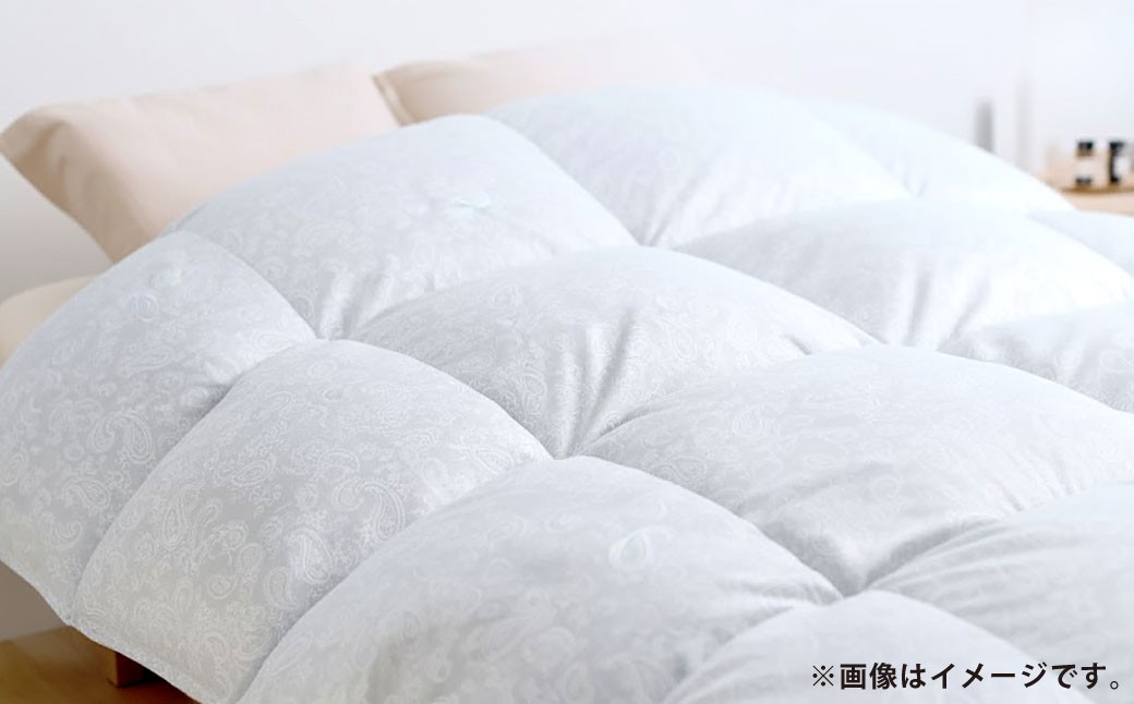 羽毛布団 シングル サーカス/パープル