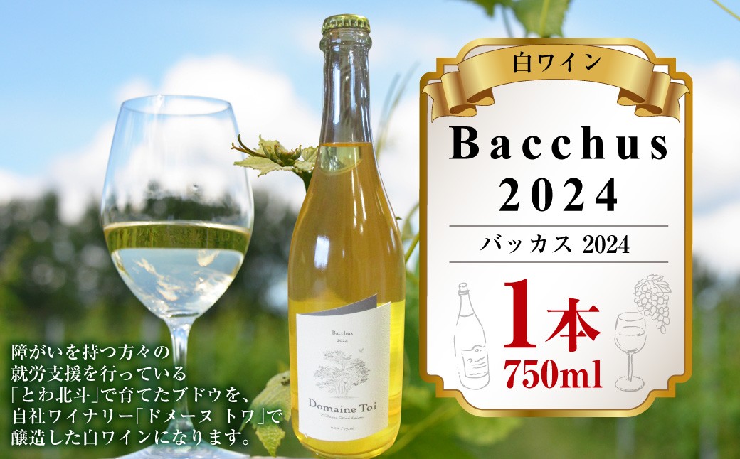 白ワイン Bacchus 2024（バッカス 2024）750ml×1本
