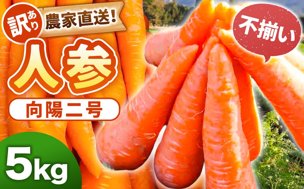 【訳あり】農家直送！ 土付き 人参 （向陽二） 5kg