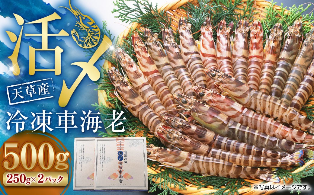 天草産活〆冷凍車海老