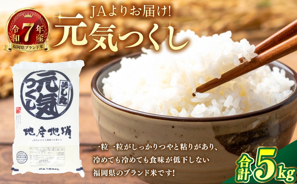 【令和7年産】JAよりお届け！福岡県ブランド米「元気つくし」5kg