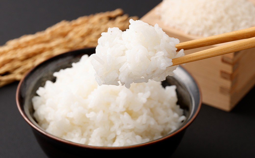 【KODAMAFARMS】あきの舞 5kg×6回（計30kg）KODA米